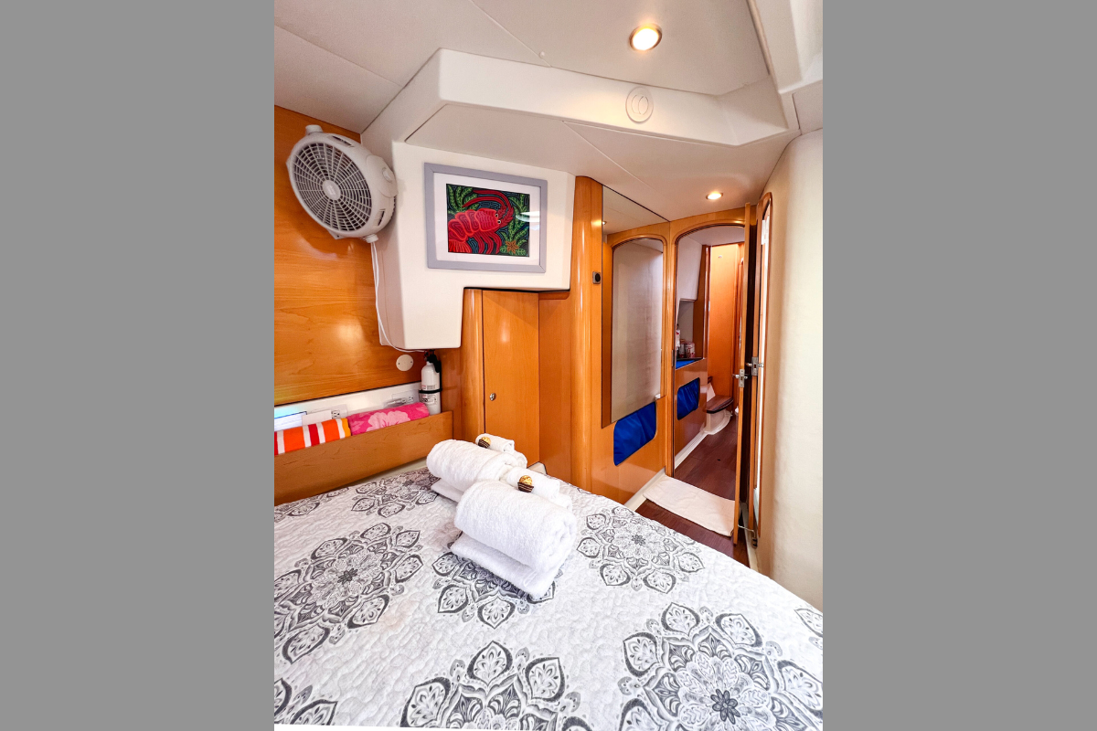 Zenith Deluxe Catamaran - Foto6